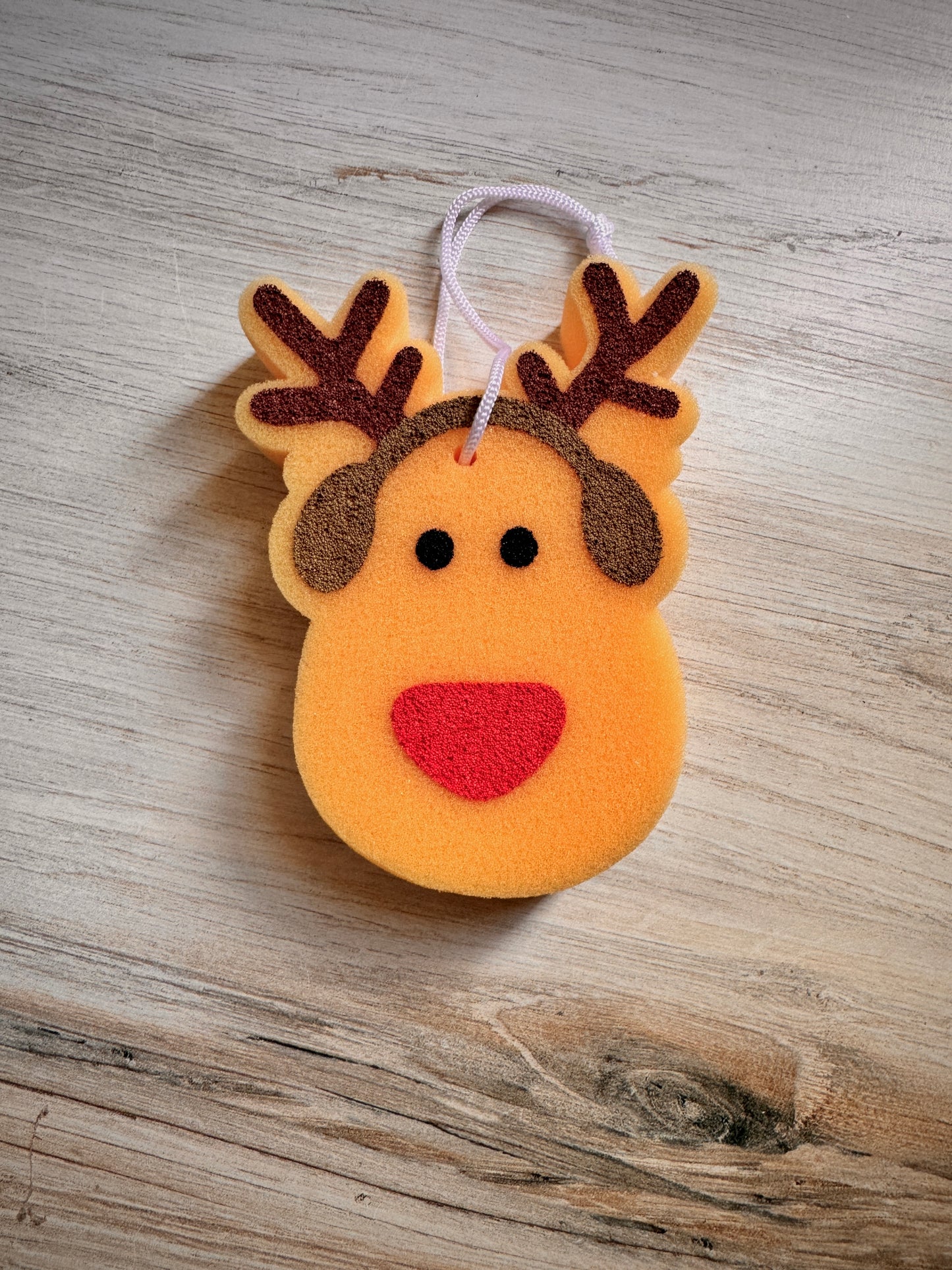 Holiday Sponge Set