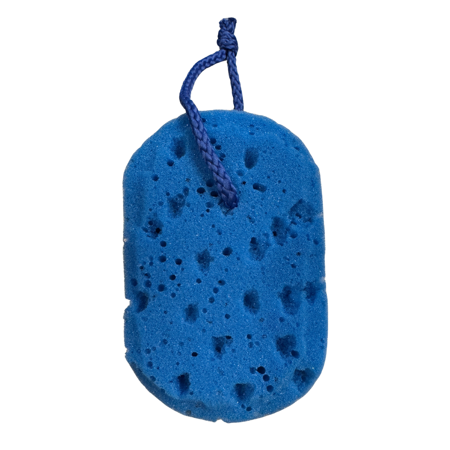 Blue Sponge