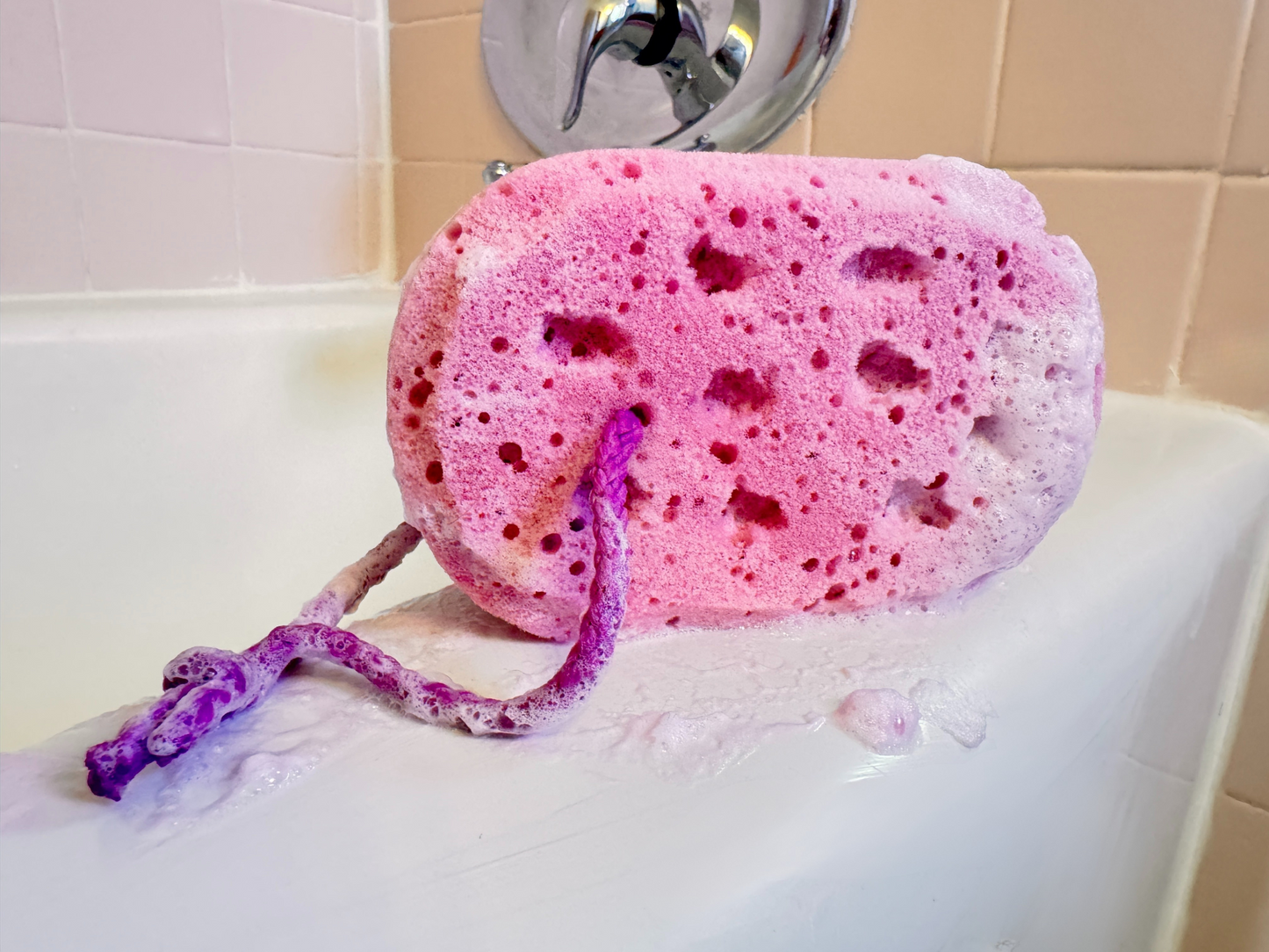 Rainbow Sponge Collection