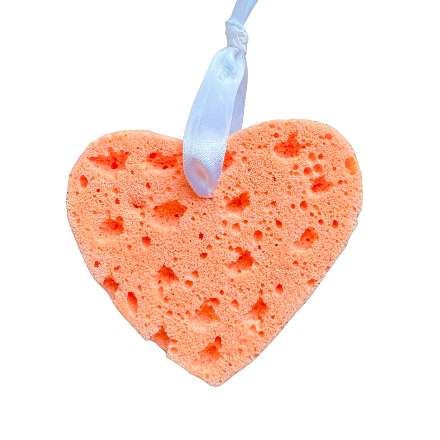 Cabana Boy Soapy Sponge