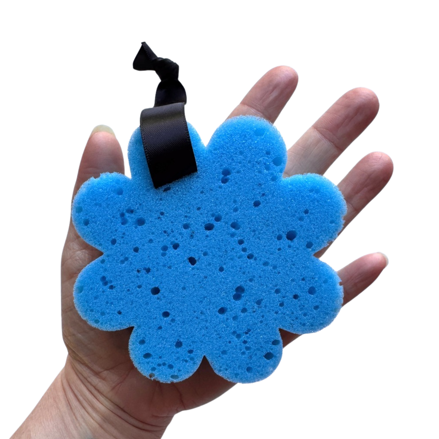 Collection Éponges Arc-en-ciel - DISPONIBLE SUR COMMANDE