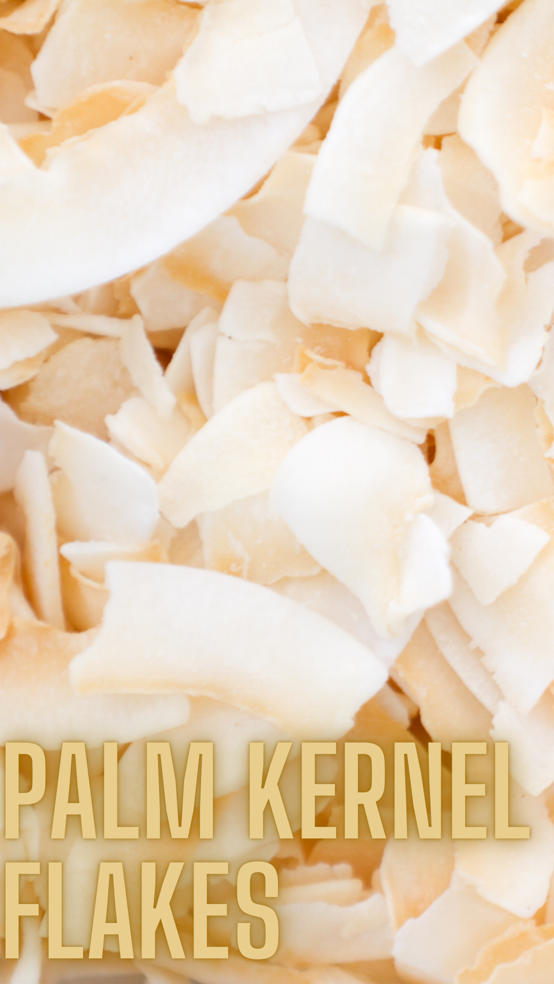 coconut palm kernel Palm Kernel Flakes – Scandalous Soap
