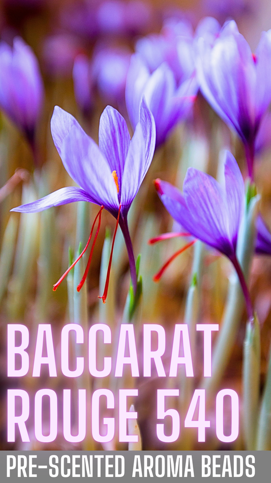 Baccarat Rouge 540 PRE-SCENTED Freshie Beads