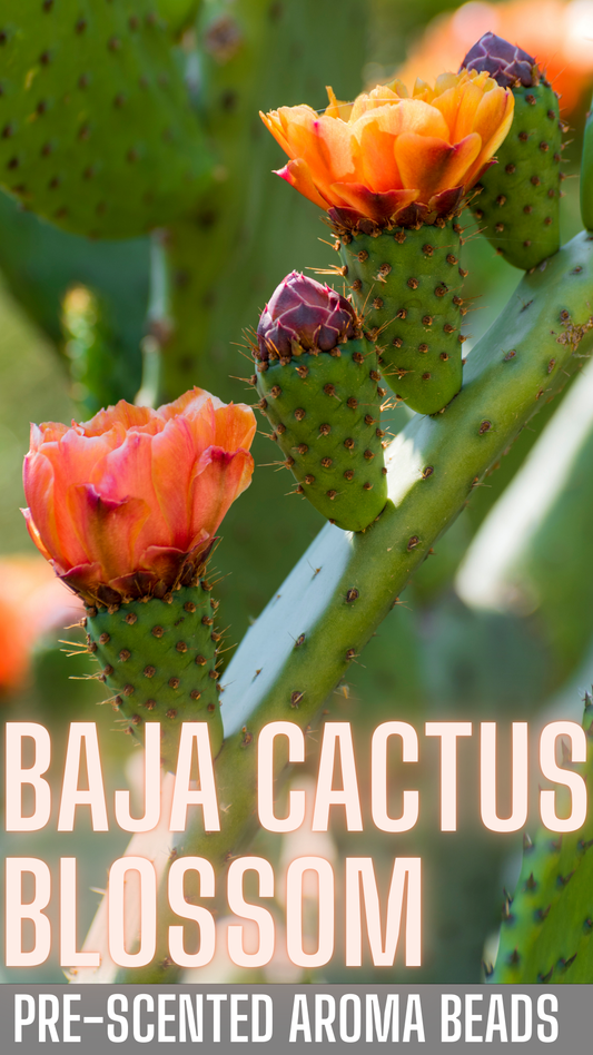Baja Cactus Blossom PRE-SCENTED Freshie Beads