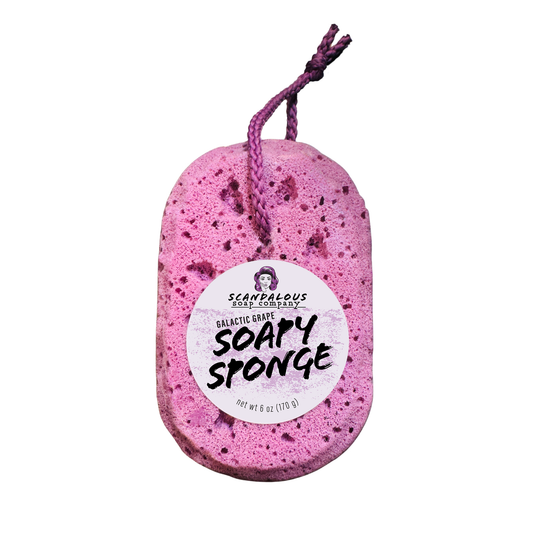 Galactic Grape Soapy Sponge