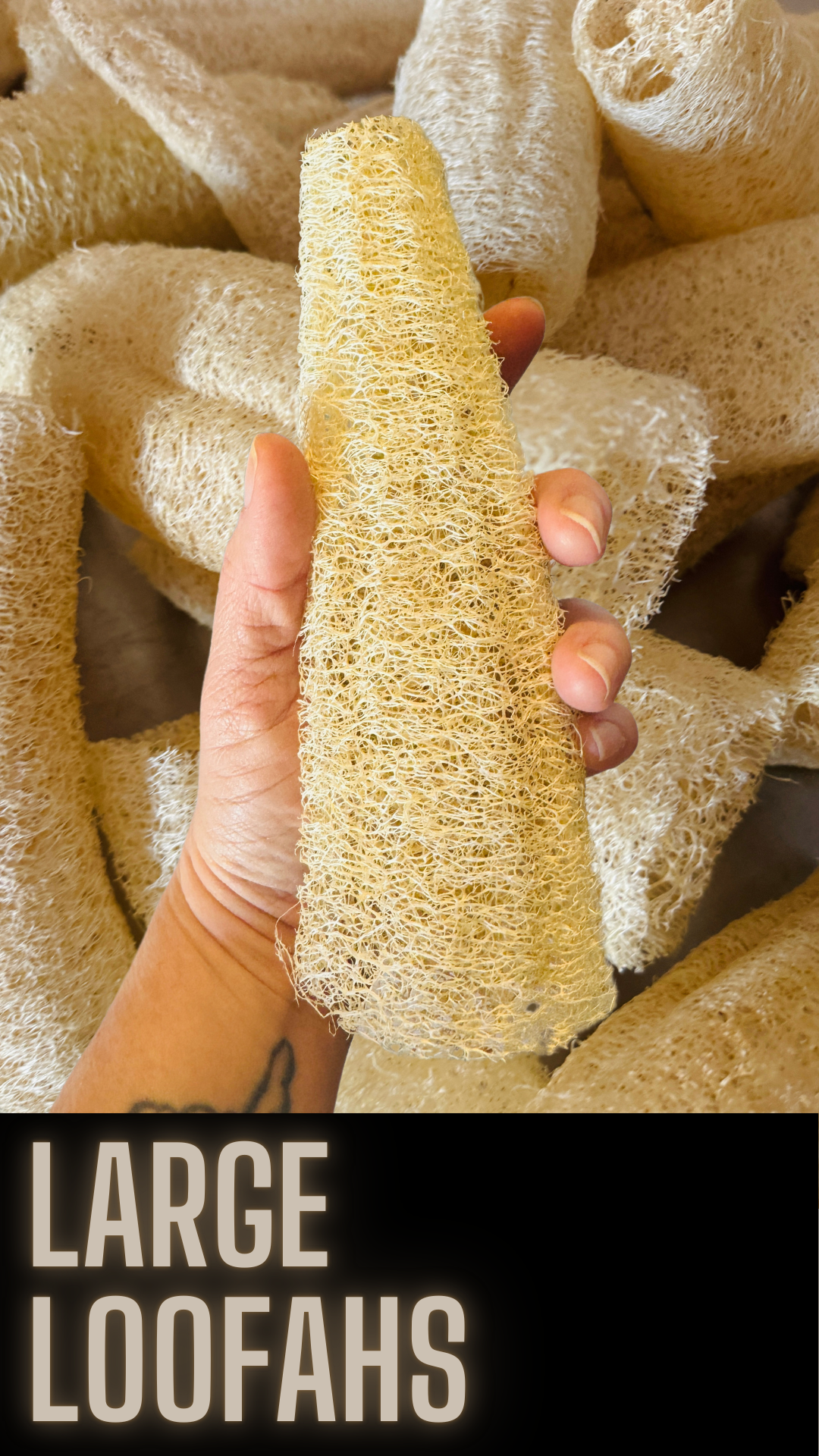 large loofah scandalous soap