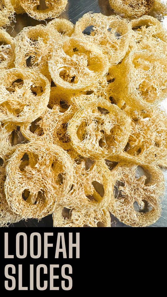 Loofah Slices