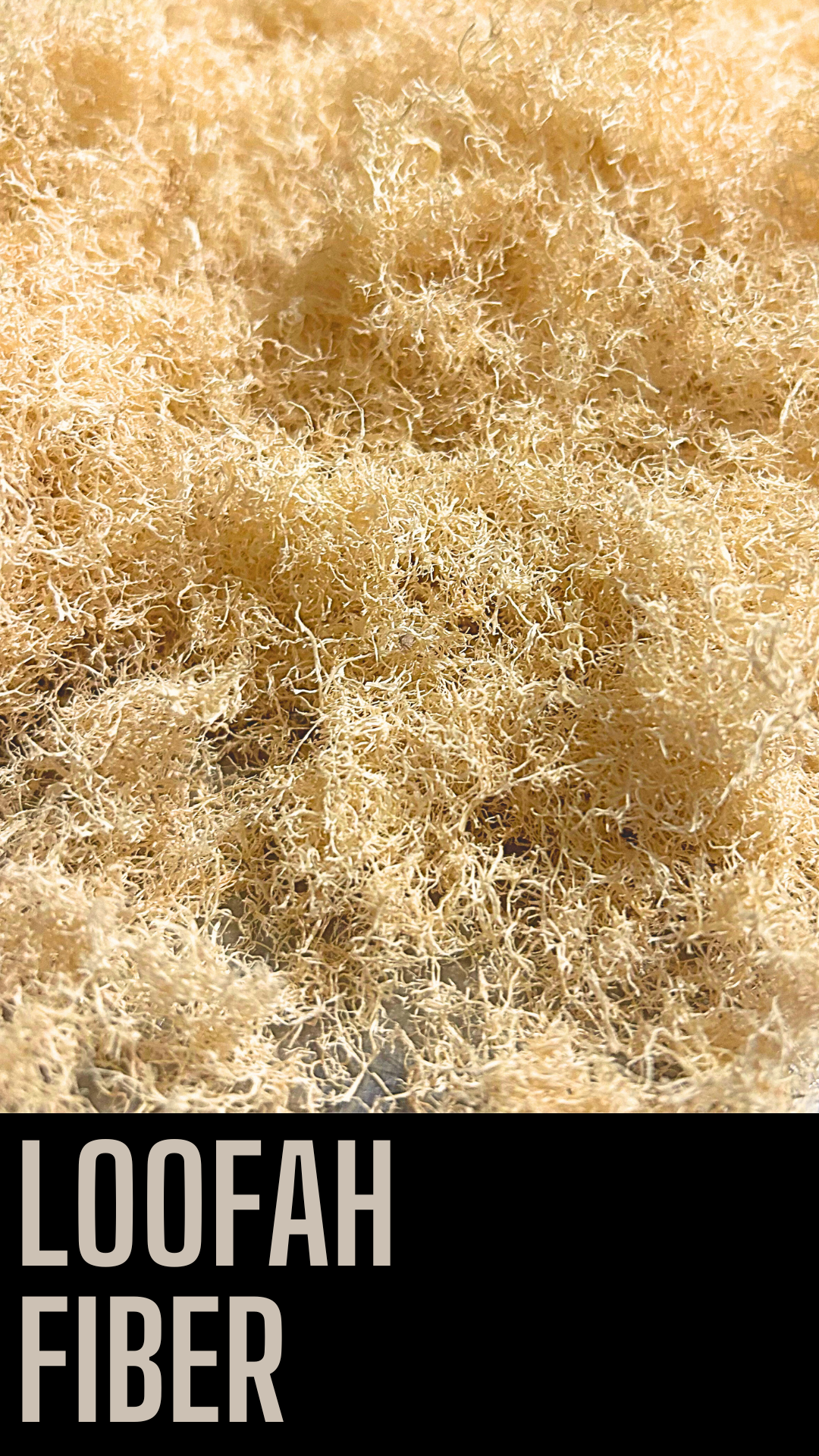 Loofah Fiber