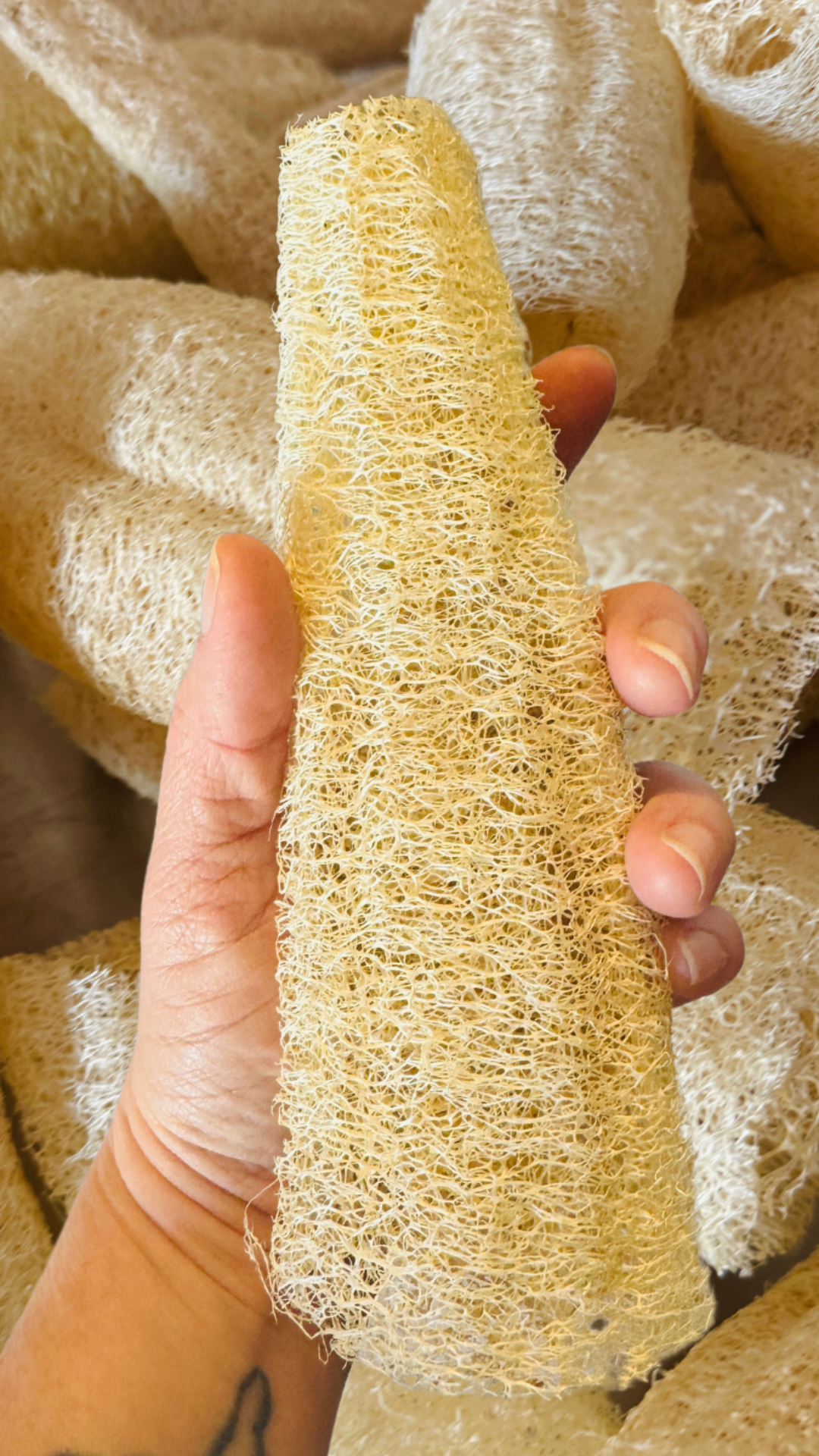 Loofahs