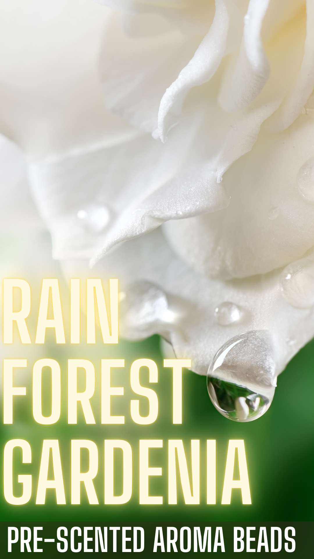 4 Ounce PRE-SCENTED Beads Samples