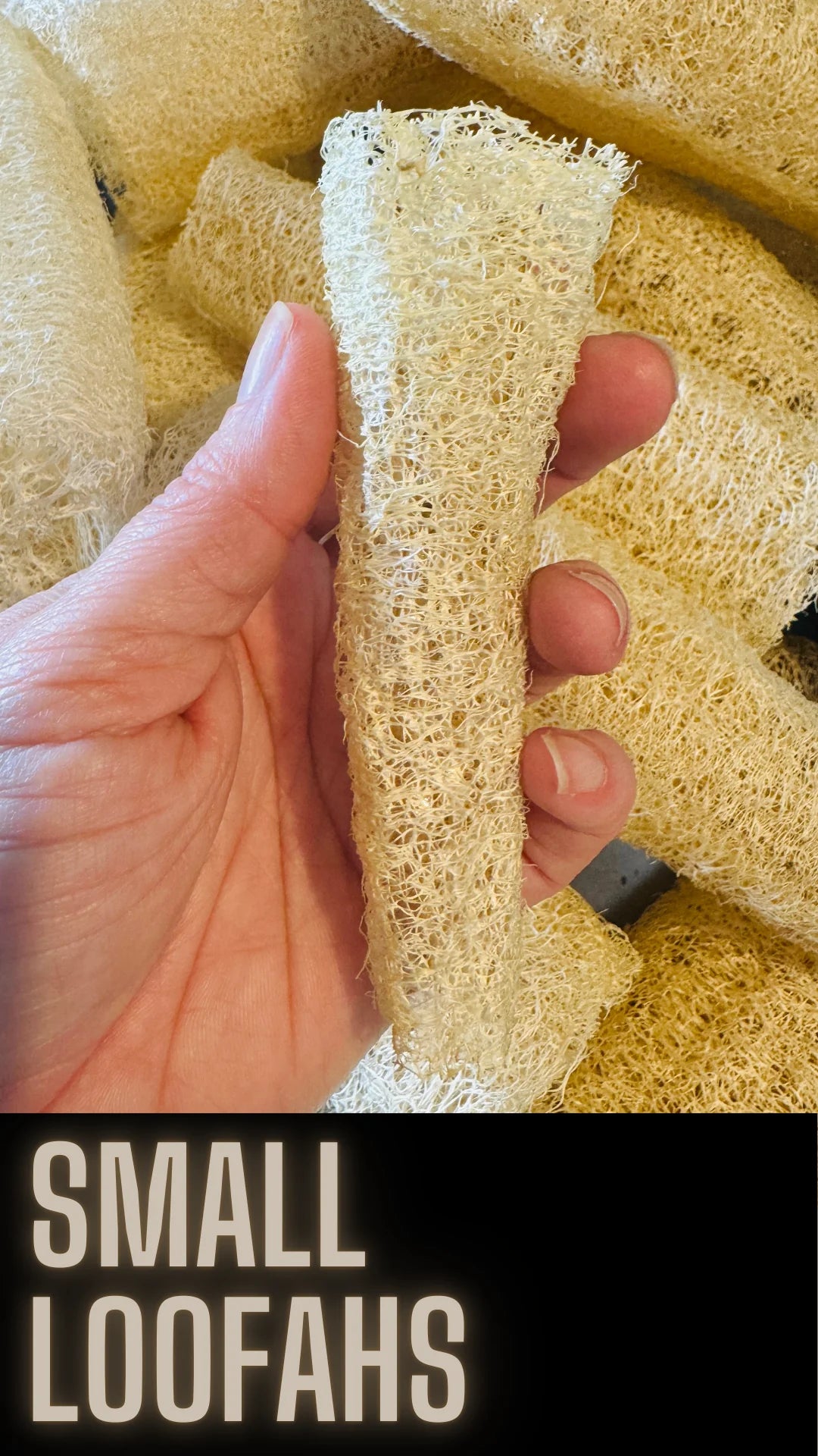 Loofahs