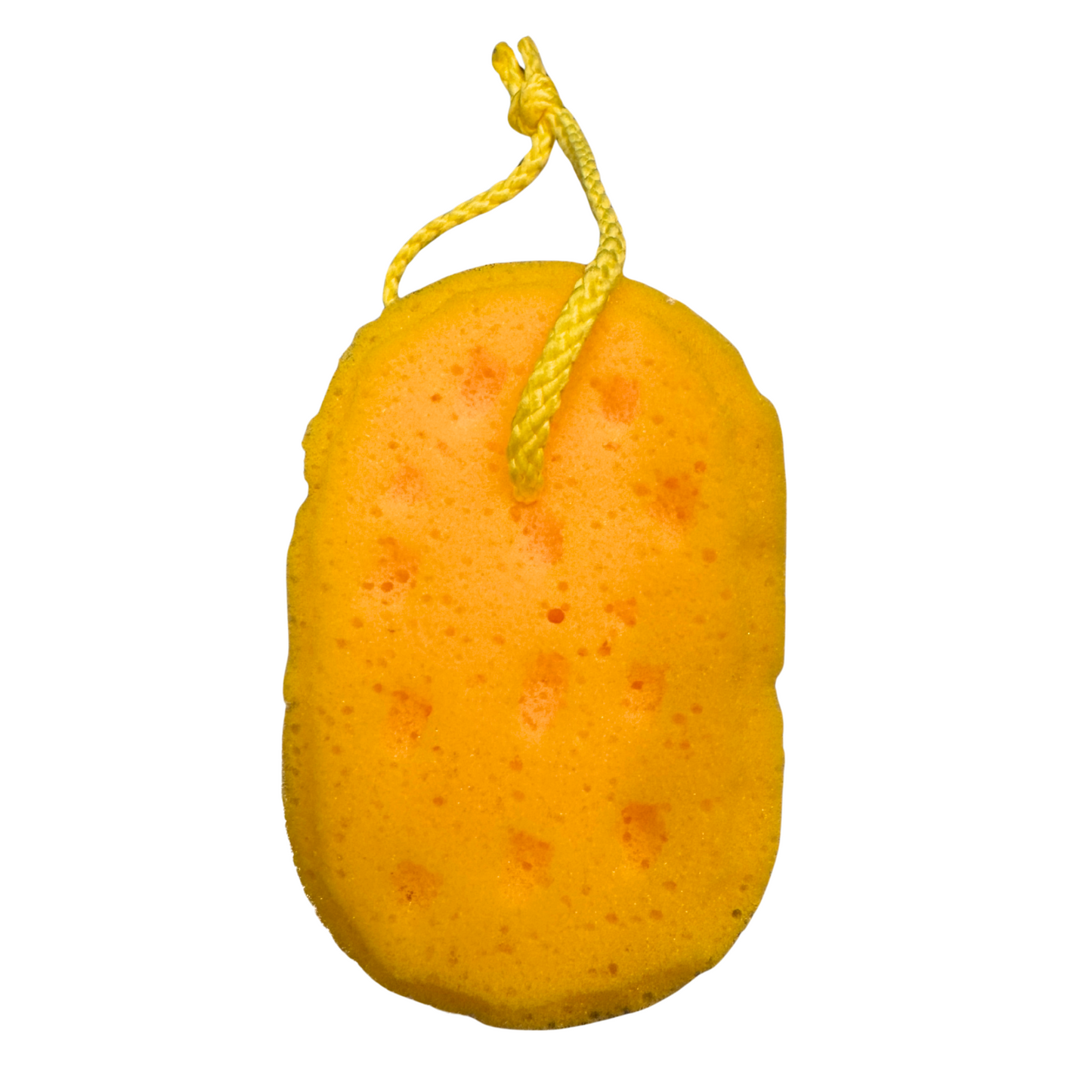 Yellow Sponge