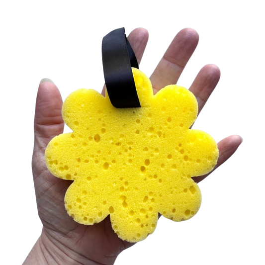 Collection Éponges Arc-en-ciel - DISPONIBLE SUR COMMANDE