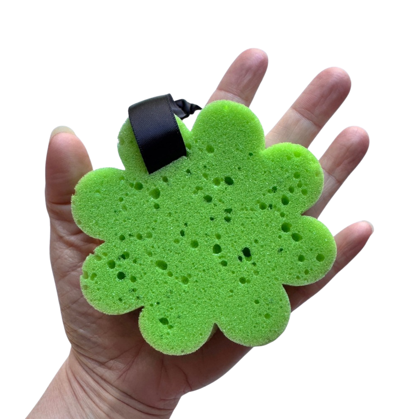 Collection Éponges Arc-en-ciel - DISPONIBLE SUR COMMANDE