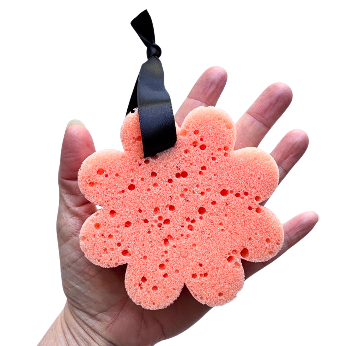 Collection Éponges Arc-en-ciel - DISPONIBLE SUR COMMANDE