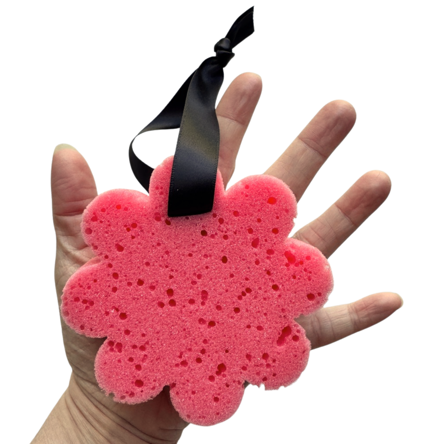 Collection Éponges Arc-en-ciel - DISPONIBLE SUR COMMANDE