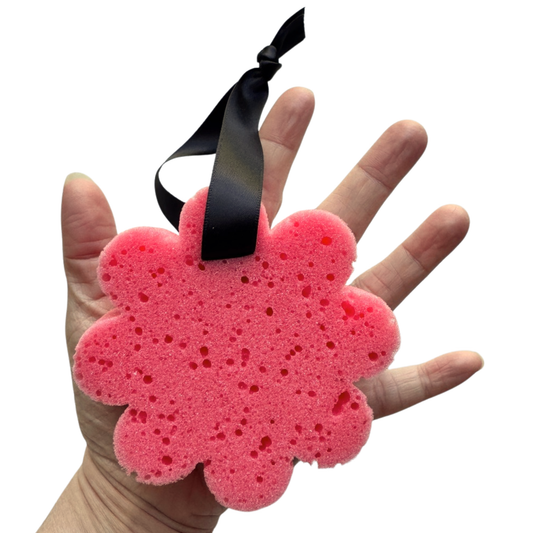 Collection Éponges Arc-en-ciel - DISPONIBLE SUR COMMANDE