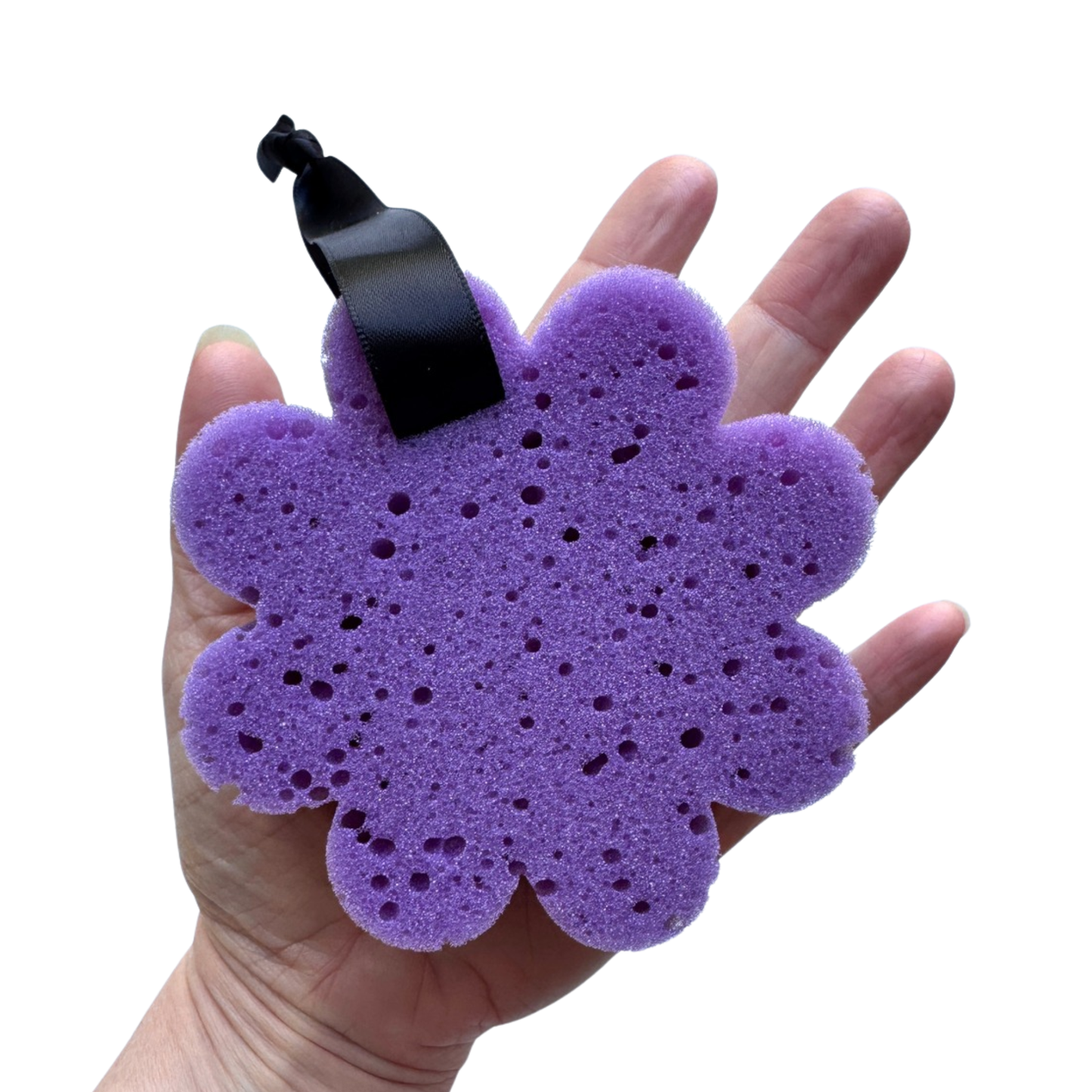 Collection Éponges Arc-en-ciel - DISPONIBLE SUR COMMANDE