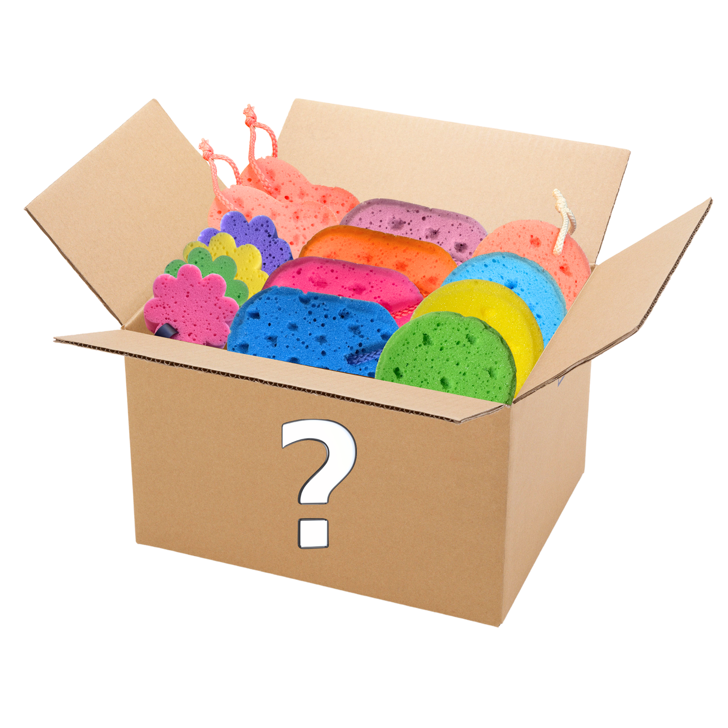 Mystery Sponge Box