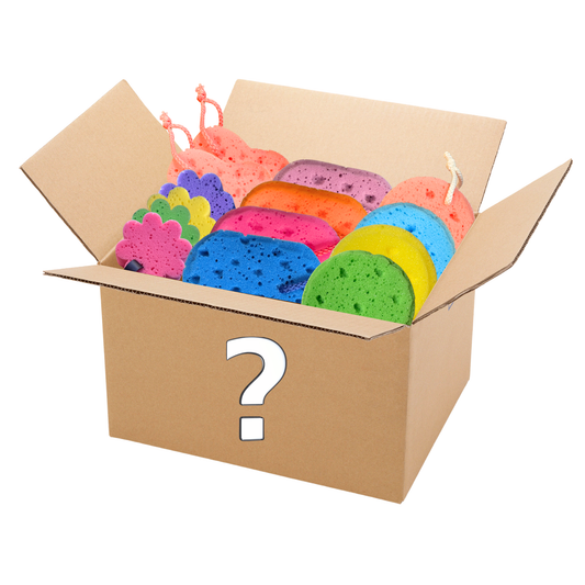 Mystery Sponge Box