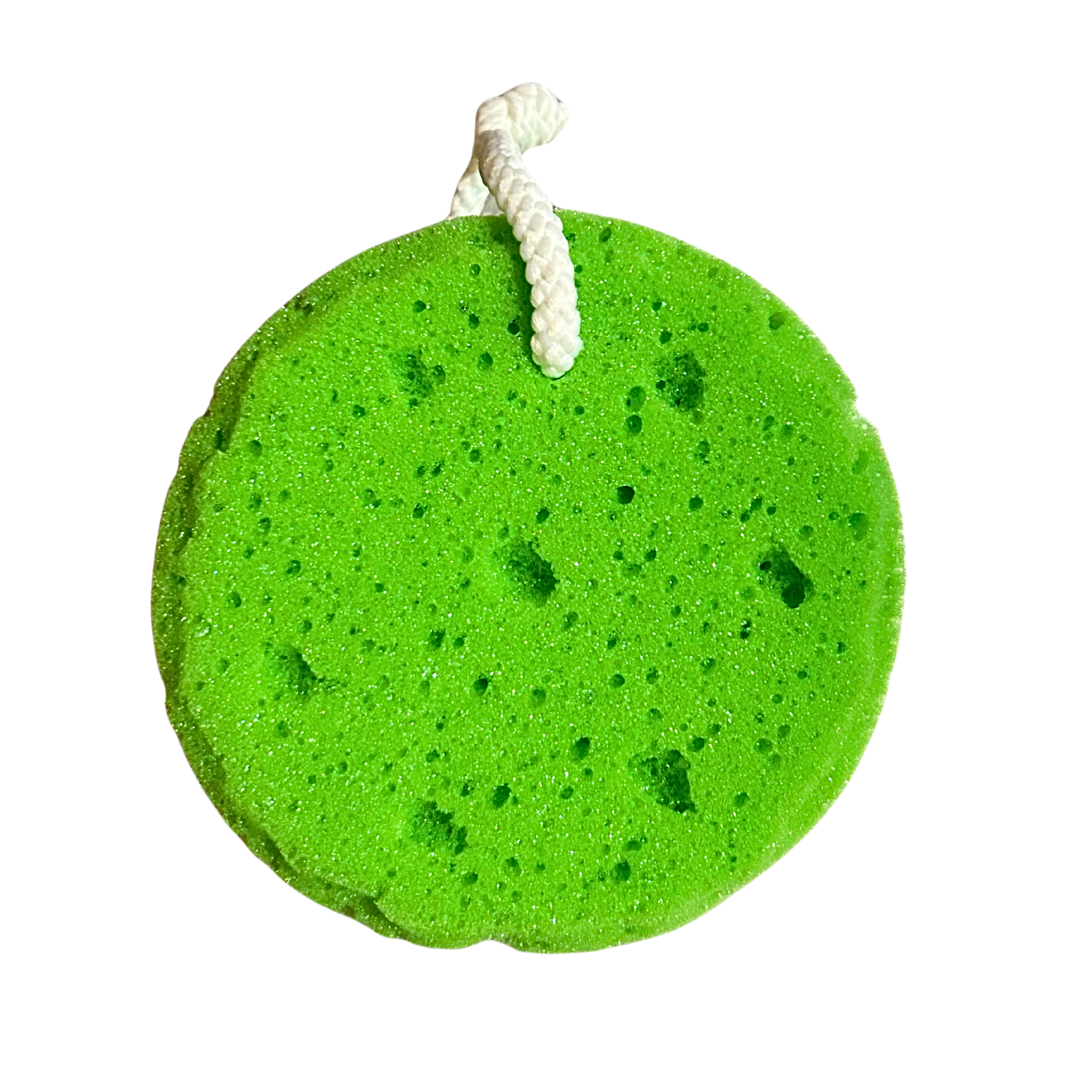 Round Sponge (Green) – Scandalous Soap