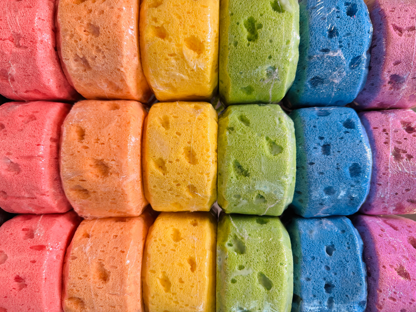 Rainbow Sponge Collection